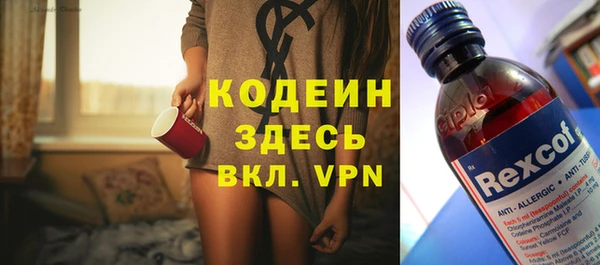 apvp Инсар