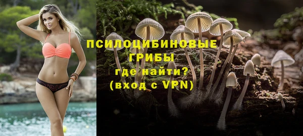 шишки Абдулино