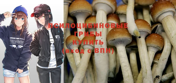 шишки Абдулино