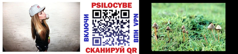 Псилоцибиновые грибы MAGIC MUSHROOMS  Елизаветинская 